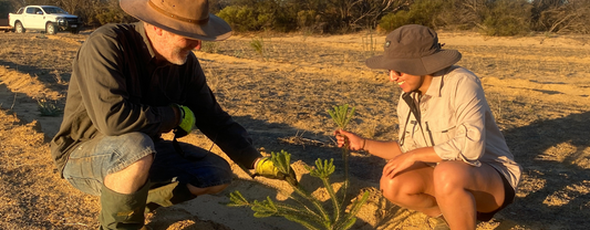 Cleaning Up For a Greener Future- Earth Choice x Regenerate Australia Partnership